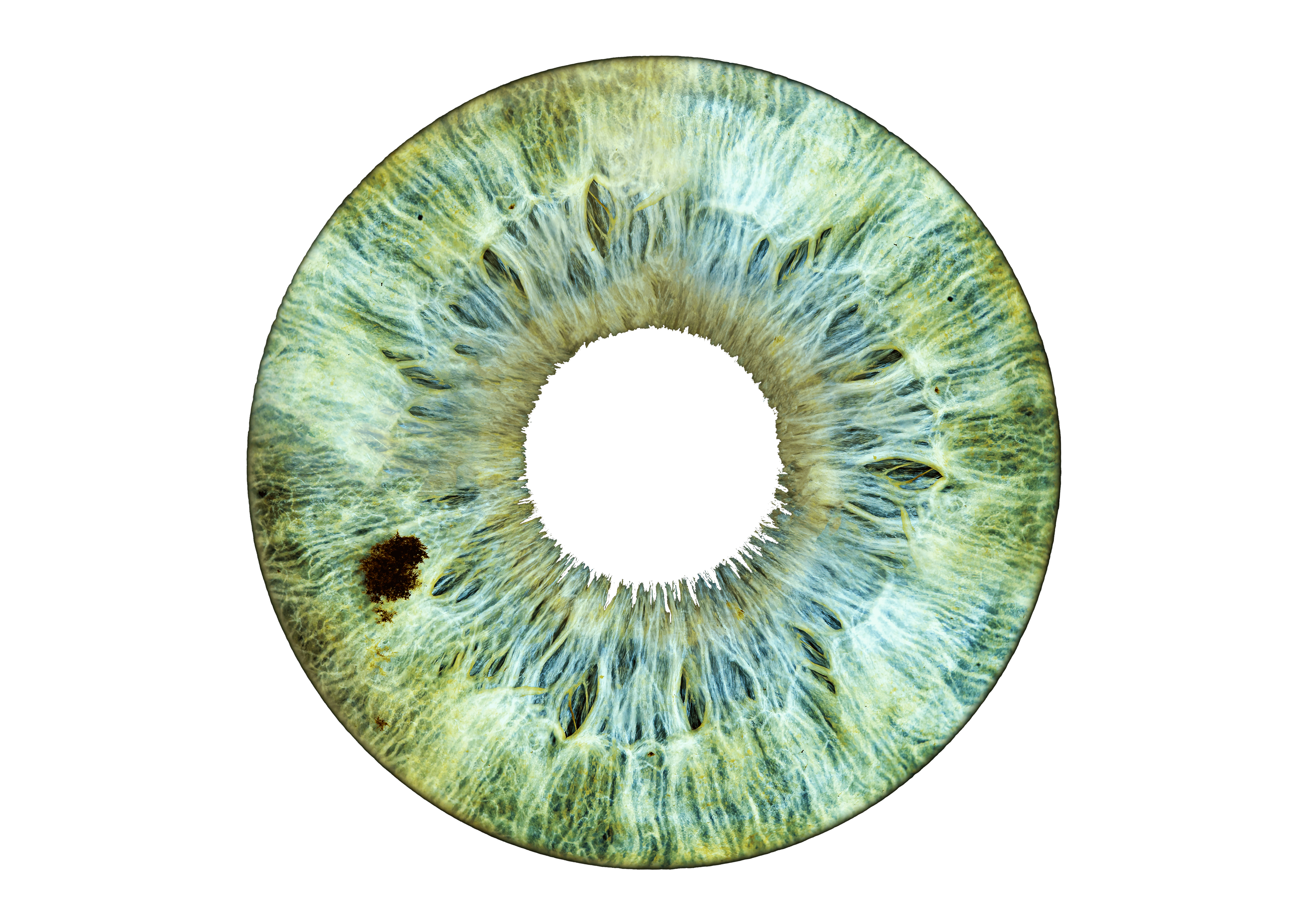 Logo de Association Gnut 06